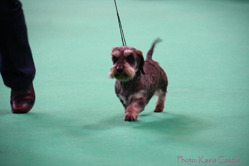 Crufts2011_2 1056.jpg